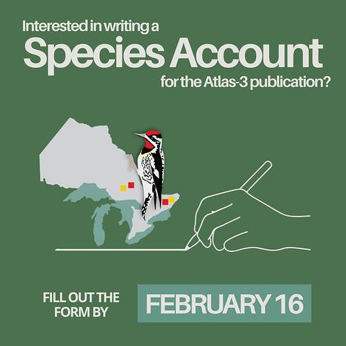 621178232_1323606529800300_9112230459190274762_n