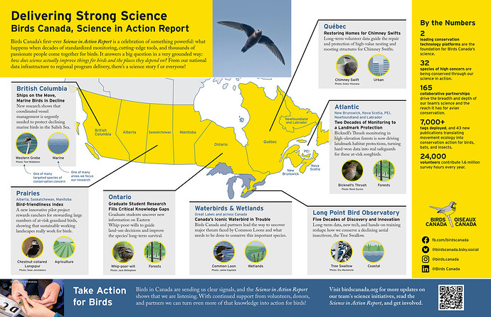 e640ce67-7919-4dea-84df-7ba09db99a16-at1000