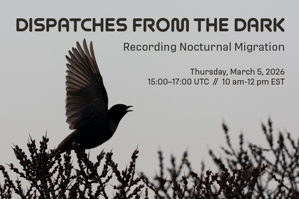 WA-Q1-NocMig-Webinar-2026-1_Email Header-600x400